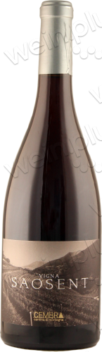 2016 Trentino DOC Pinot Nero "Vigna Saosent"
